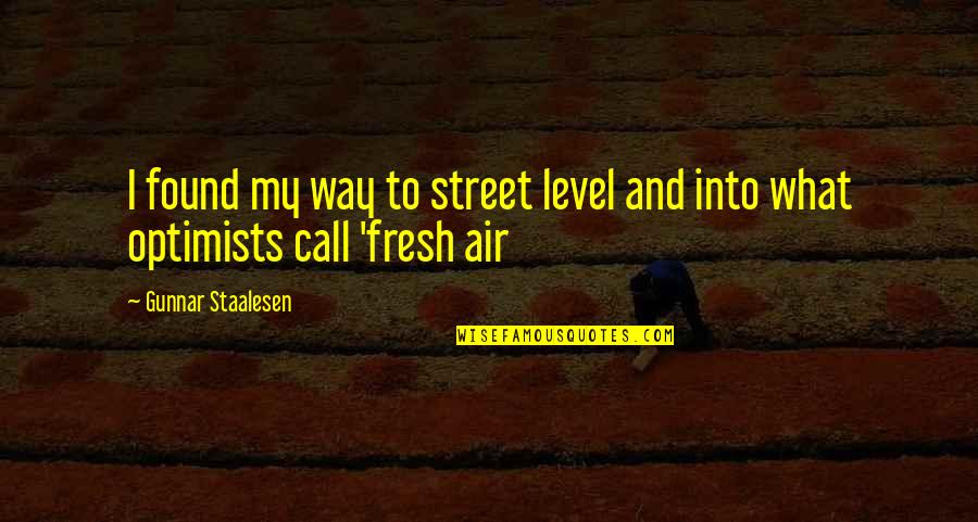 My Level Quotes By Gunnar Staalesen: I found my way to street level and