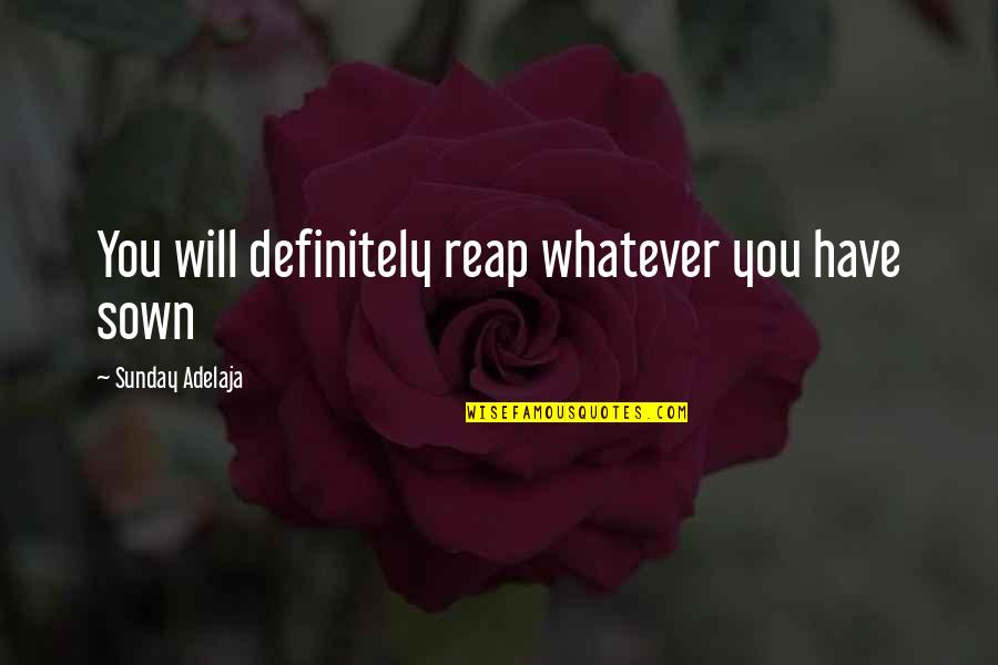 My Life A Year Ago Quotes By Sunday Adelaja: You will definitely reap whatever you have sown