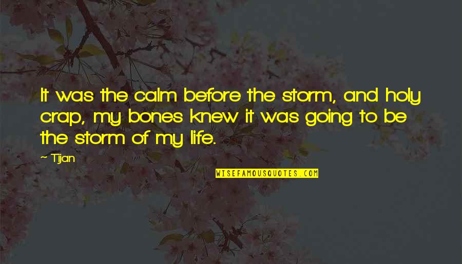 My Life Before Quotes By Tijan: It was the calm before the storm, and