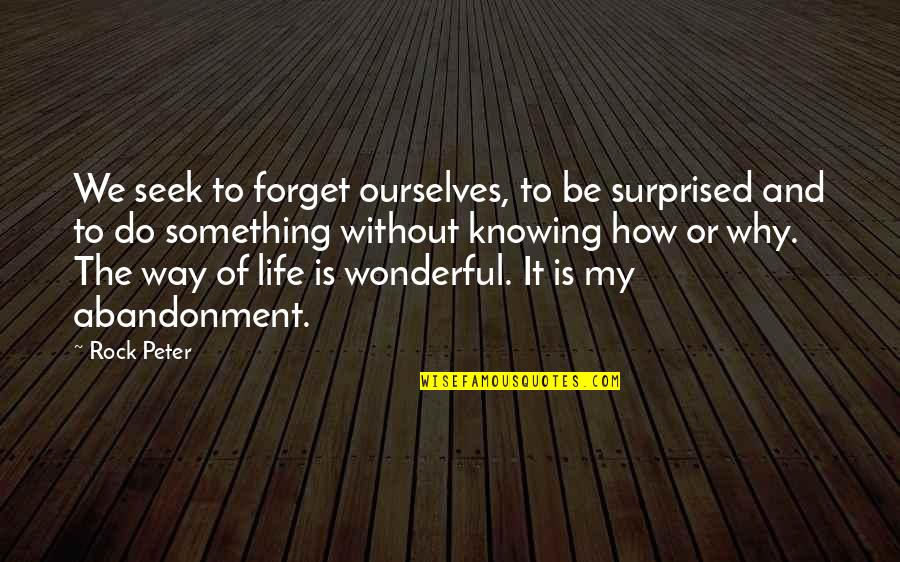 My Life Experience Quotes By Rock Peter: We seek to forget ourselves, to be surprised