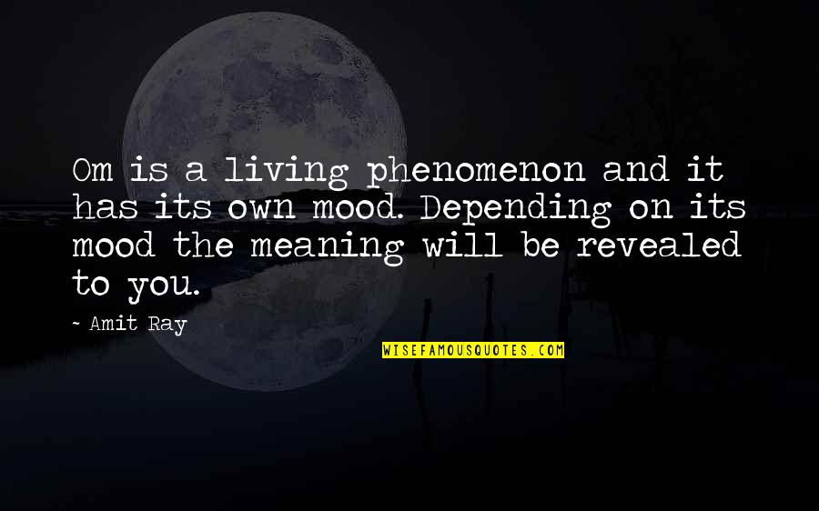 My Life Has No Meaning Without You Quotes By Amit Ray: Om is a living phenomenon and it has My Life Has No Meaning Without You Quotes By Amit Ray: Om is a living phenomenon and it has