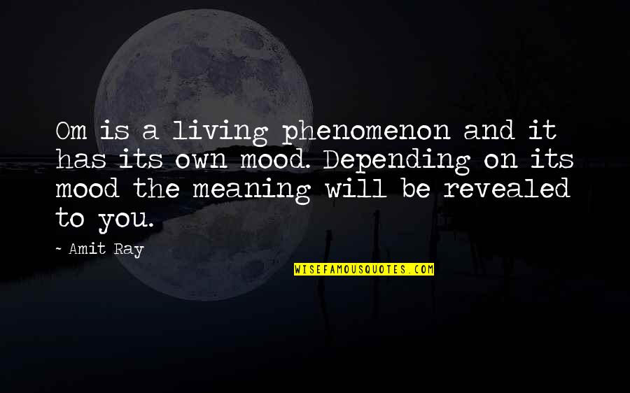 My Life Has No Meaning Without You Quotes By Amit Ray: Om is a living phenomenon and it has