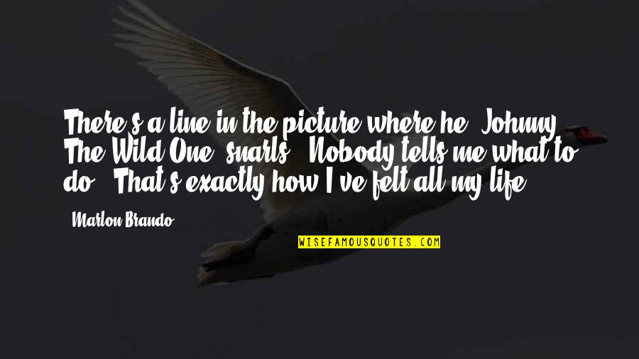 My Life In One Picture Quotes By Marlon Brando: There's a line in the picture where he