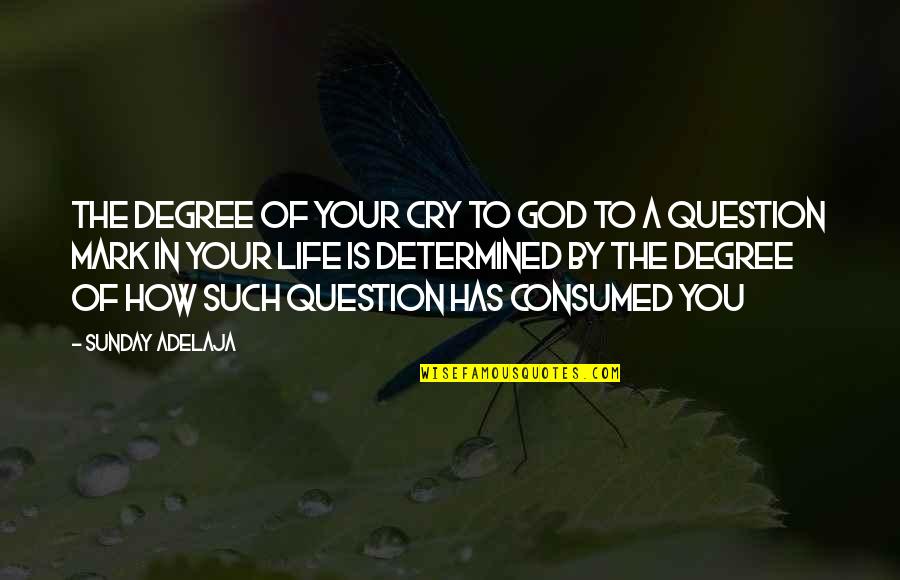 My Life Is A Question Mark Quotes By Sunday Adelaja: The degree of your cry to God to