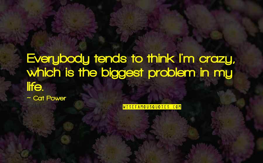 My Life Is Crazy Quotes By Cat Power: Everybody tends to think I'm crazy, which is