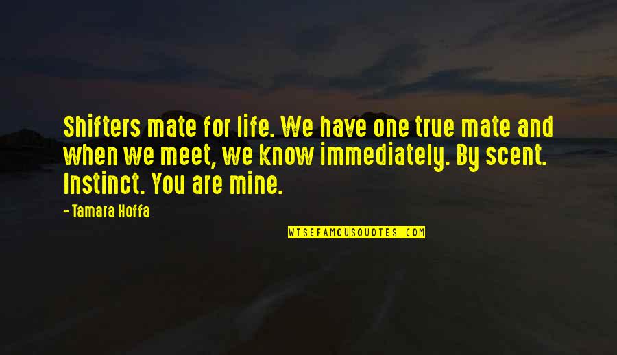 My Life Is Mine Quotes By Tamara Hoffa: Shifters mate for life. We have one true My Life Is Mine Quotes By Tamara Hoffa: Shifters mate for life. We have one true