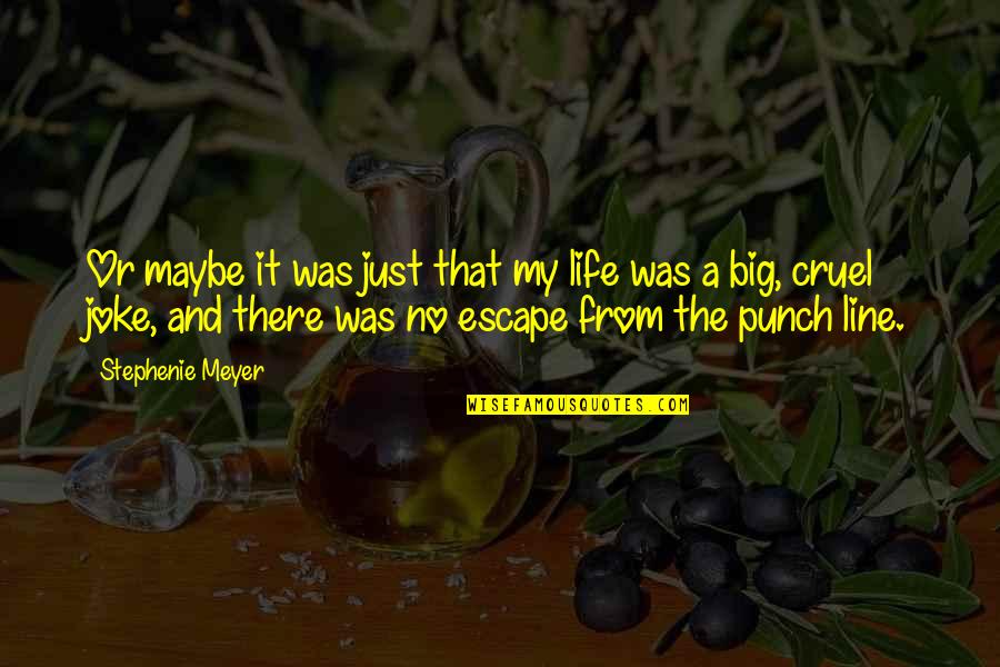 My Life Joke Quotes By Stephenie Meyer: Or maybe it was just that my life
