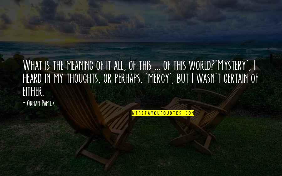 My Life My World Quotes By Orhan Pamuk: What is the meaning of it all, of