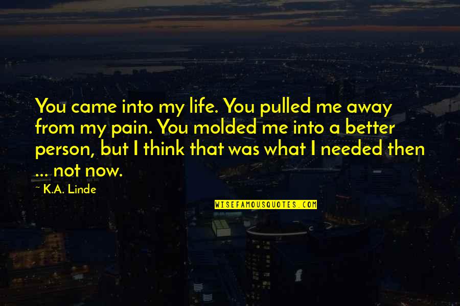 My Life Pain Quotes By K.A. Linde: You came into my life. You pulled me