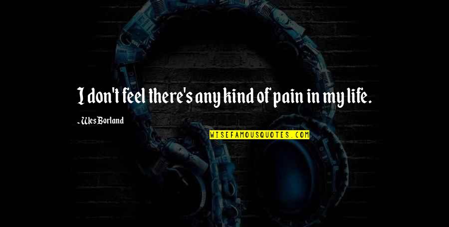 My Life Pain Quotes By Wes Borland: I don't feel there's any kind of pain
