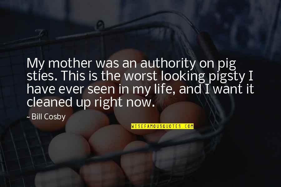 My Life Right Now Quotes By Bill Cosby: My mother was an authority on pig sties.