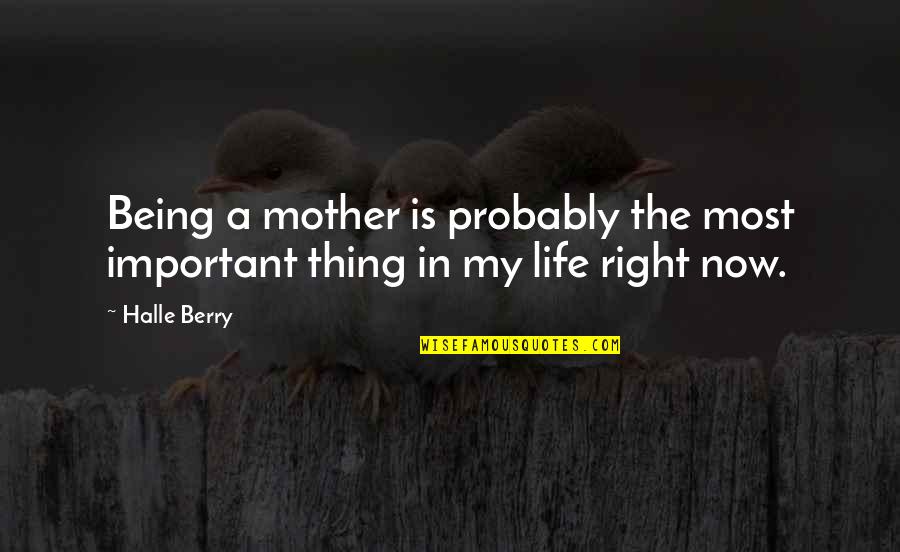 My Life Right Now Quotes By Halle Berry: Being a mother is probably the most important