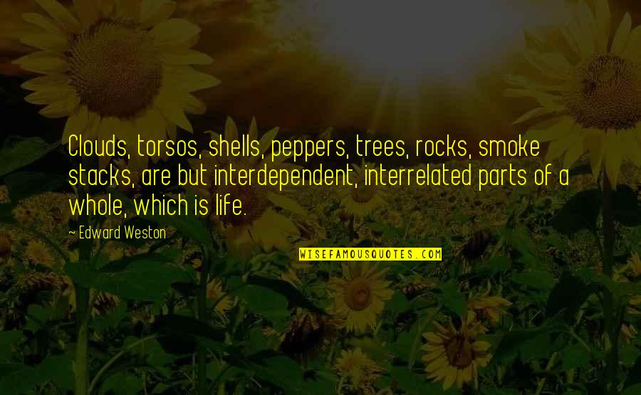 My Life Rocks Quotes By Edward Weston: Clouds, torsos, shells, peppers, trees, rocks, smoke stacks,