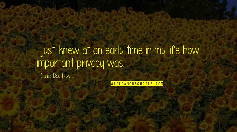 My Life Time Quotes By Daniel Day-Lewis: I just knew at an early time in My Life Time Quotes By Daniel Day-Lewis: I just knew at an early time in