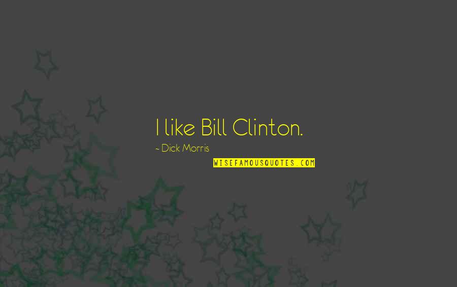 My Life Wouldnt Be The Same Without You Quotes By Dick Morris: I like Bill Clinton.