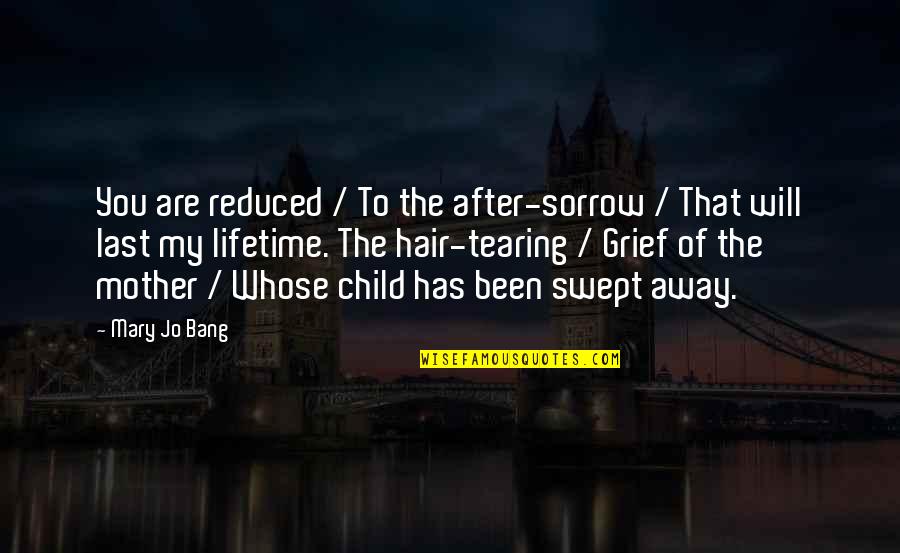 My Lifetime Quotes By Mary Jo Bang: You are reduced / To the after-sorrow /