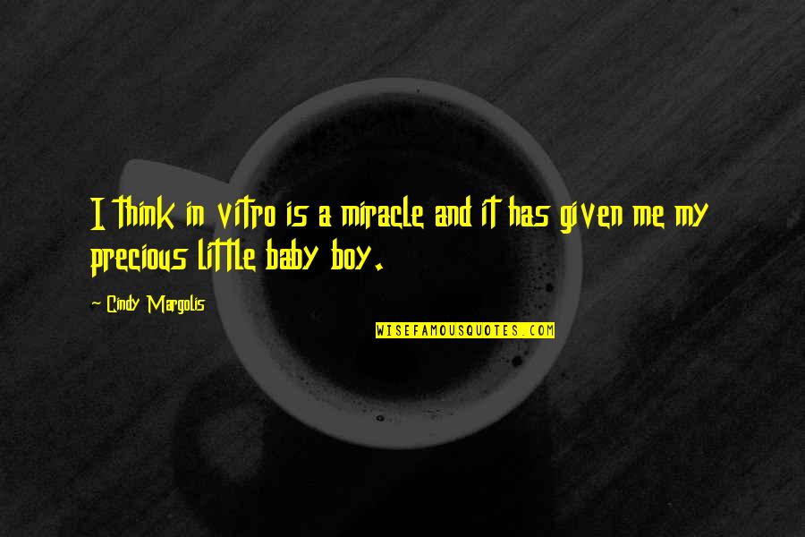 My Little Boy Quotes By Cindy Margolis: I think in vitro is a miracle and