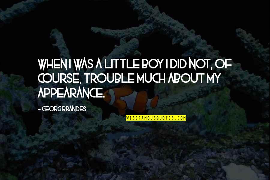 My Little Boy Quotes By Georg Brandes: When I was a little boy I did