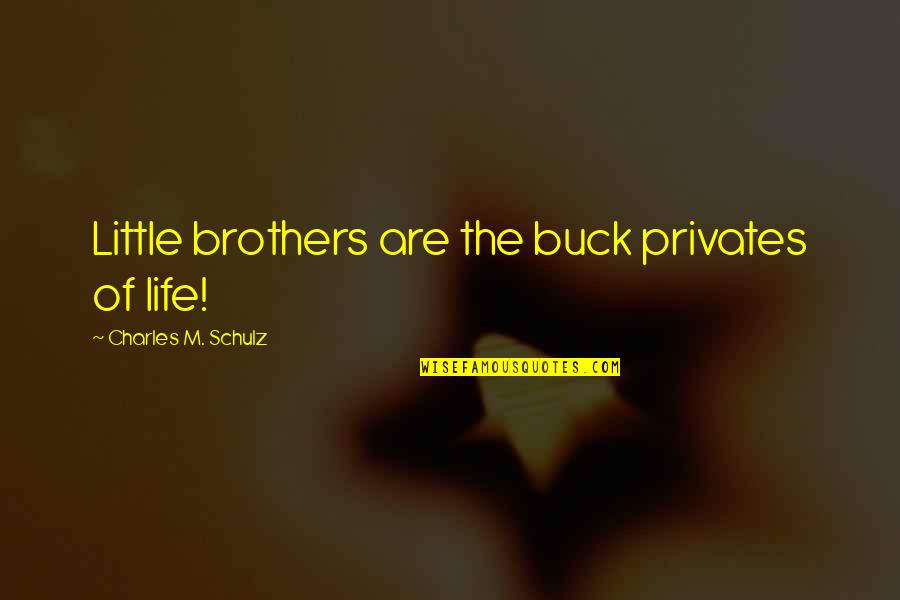 My Little Brothers Quotes By Charles M. Schulz: Little brothers are the buck privates of life!