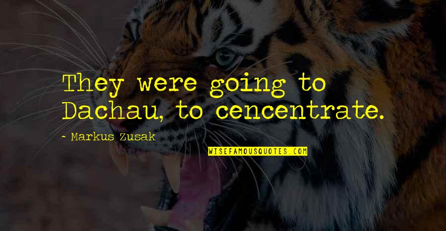 My Little Pretty Quote Quotes By Markus Zusak: They were going to Dachau, to cencentrate.