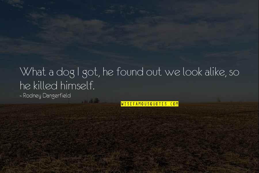 My Look Alike Quotes By Rodney Dangerfield: What a dog I got, he found out My Look Alike Quotes By Rodney Dangerfield: What a dog I got, he found out