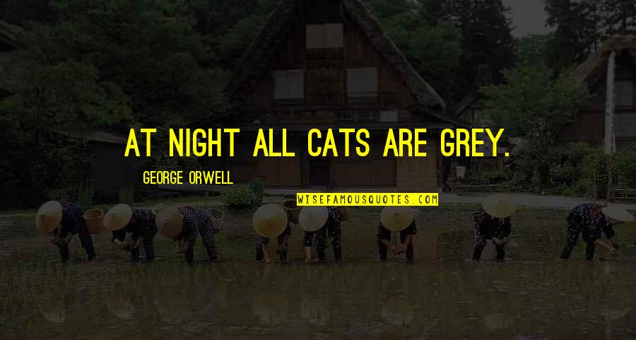 My Love For Cats Quotes By George Orwell: At night all cats are grey.