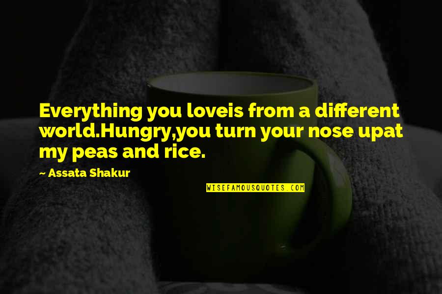 My Love Is Everything Quotes By Assata Shakur: Everything you loveis from a different world.Hungry,you turn