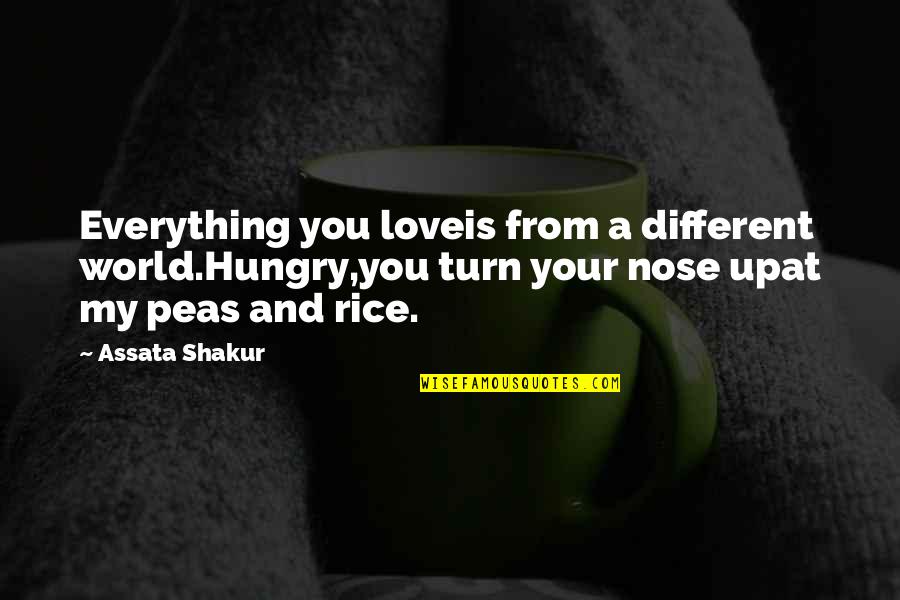 My Love Is My Everything Quotes By Assata Shakur: Everything you loveis from a different world.Hungry,you turn My Love Is My Everything Quotes By Assata Shakur: Everything you loveis from a different world.Hungry,you turn