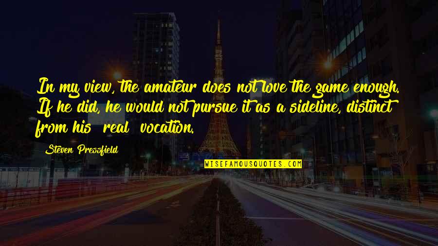 My Love Not Enough Quotes By Steven Pressfield: In my view, the amateur does not love