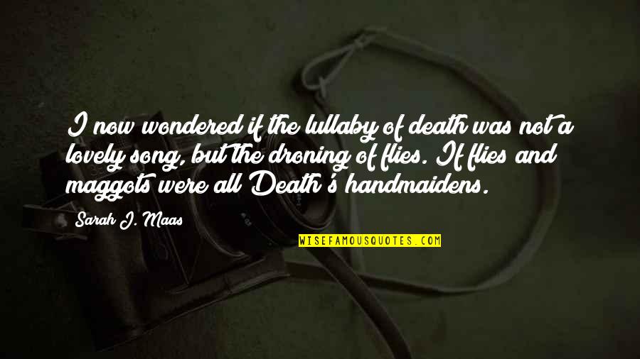 My Lullaby Quotes By Sarah J. Maas: I now wondered if the lullaby of death My Lullaby Quotes By Sarah J. Maas: I now wondered if the lullaby of death