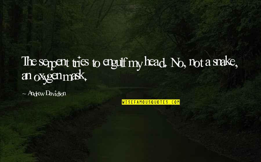 My Mask Quotes By Andrew Davidson: The serpent tries to engulf my head. No,