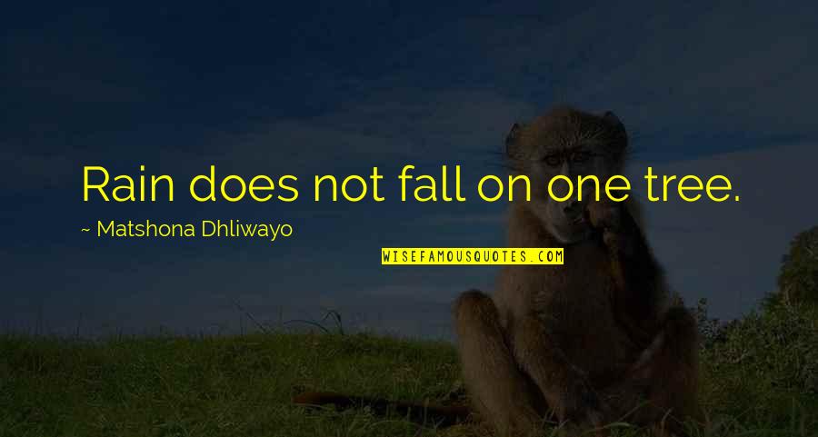 My Mom Inspires Me Quotes By Matshona Dhliwayo: Rain does not fall on one tree.