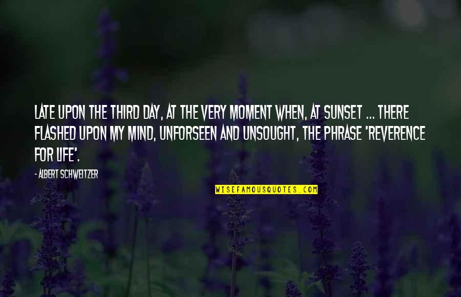 My Moment Quotes By Albert Schweitzer: Late upon the third day, at the very