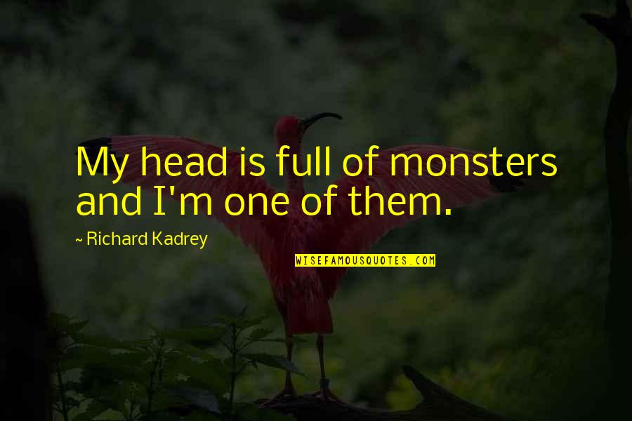 My Momma Says Waterboy Quotes By Richard Kadrey: My head is full of monsters and I'm