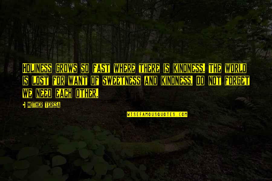 My Mother Is My Inspiration Quotes By Mother Teresa: Holiness grows so fast where there is kindness.