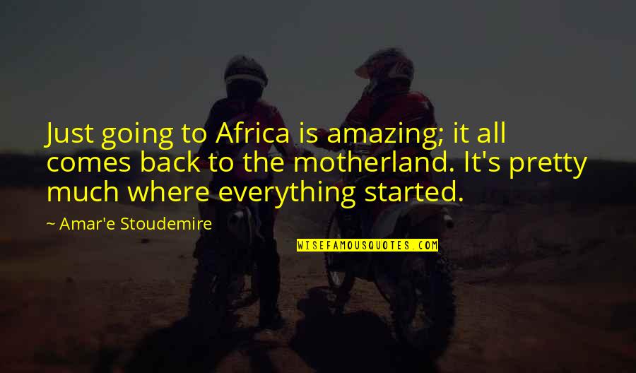 My Motherland Quotes By Amar'e Stoudemire: Just going to Africa is amazing; it all