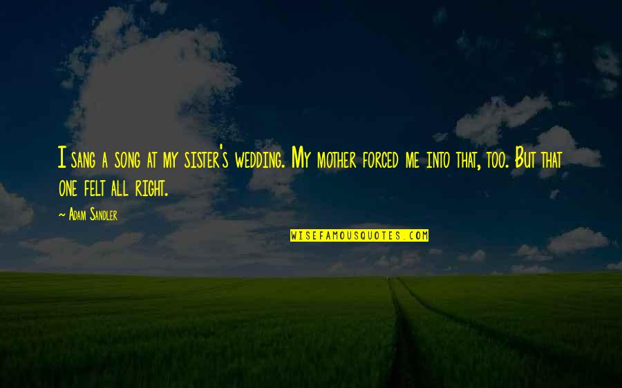 My Mother's Quotes By Adam Sandler: I sang a song at my sister's wedding.