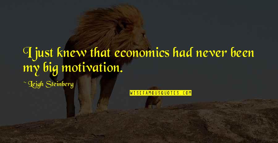 My Motivation Quotes By Leigh Steinberg: I just knew that economics had never been