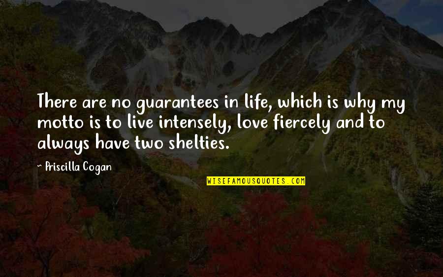 My Motto Quotes By Priscilla Cogan: There are no guarantees in life, which is