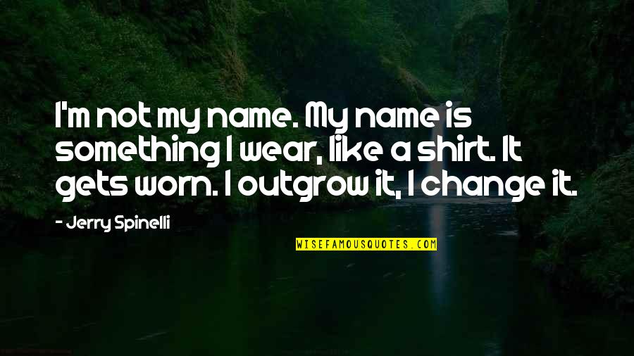 My Name Is Quotes By Jerry Spinelli: I'm not my name. My name is something