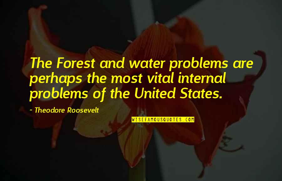 My Name Khan Quotes By Theodore Roosevelt: The Forest and water problems are perhaps the