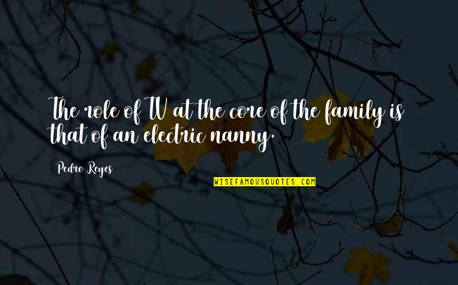My Nanny Quotes By Pedro Reyes: The role of TV at the core of