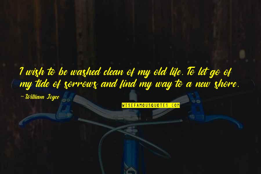 My New Life Quotes By William Joyce: I wish to be washed clean of my