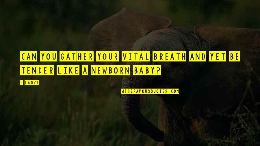 My Newborn Baby Quotes By Laozi: Can you gather your vital breath and yet