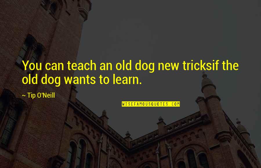 My Old Dog Quotes By Tip O'Neill: You can teach an old dog new tricksif