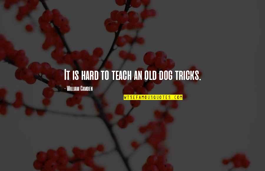 My Old Dog Quotes By William Camden: It is hard to teach an old dog