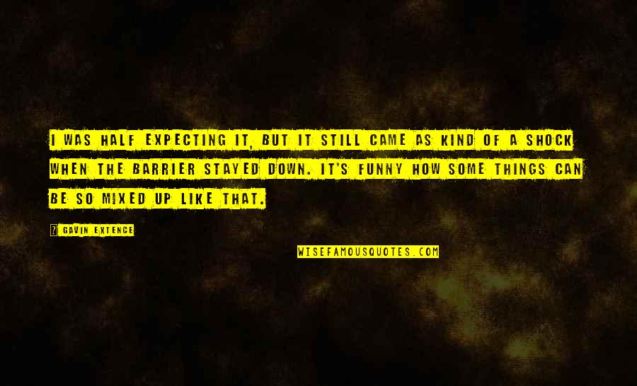 My Other Half Funny Quotes By Gavin Extence: I was half expecting it, but it still