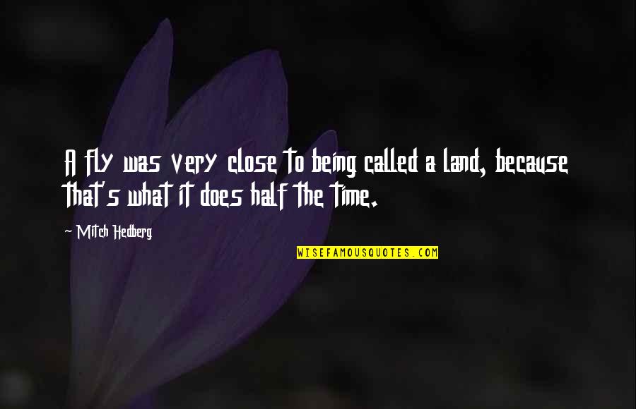 My Other Half Funny Quotes By Mitch Hedberg: A fly was very close to being called