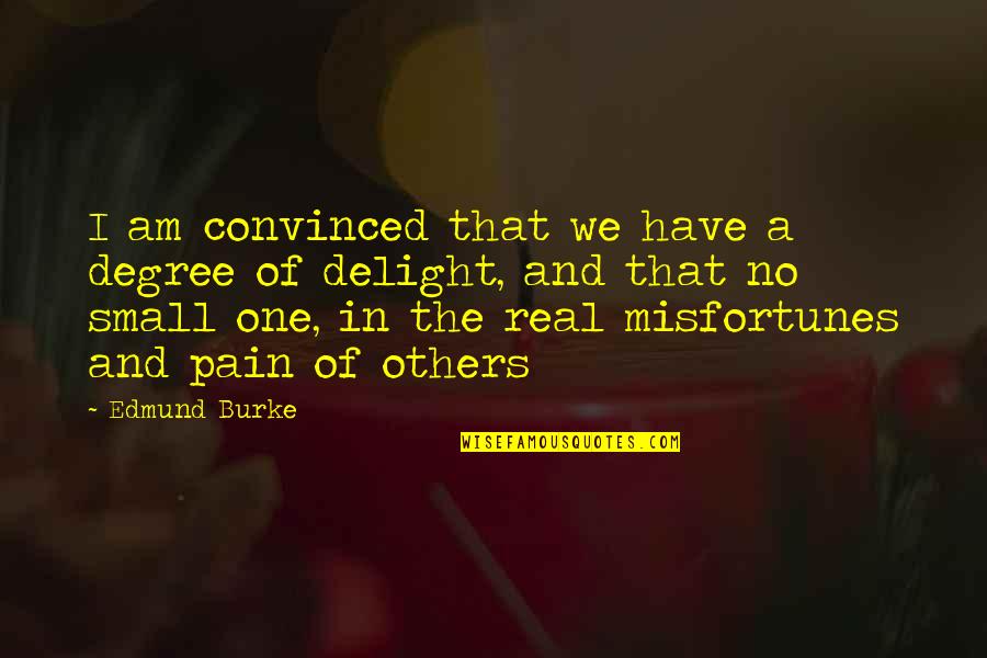 My Pain Is Real Quotes By Edmund Burke: I am convinced that we have a degree