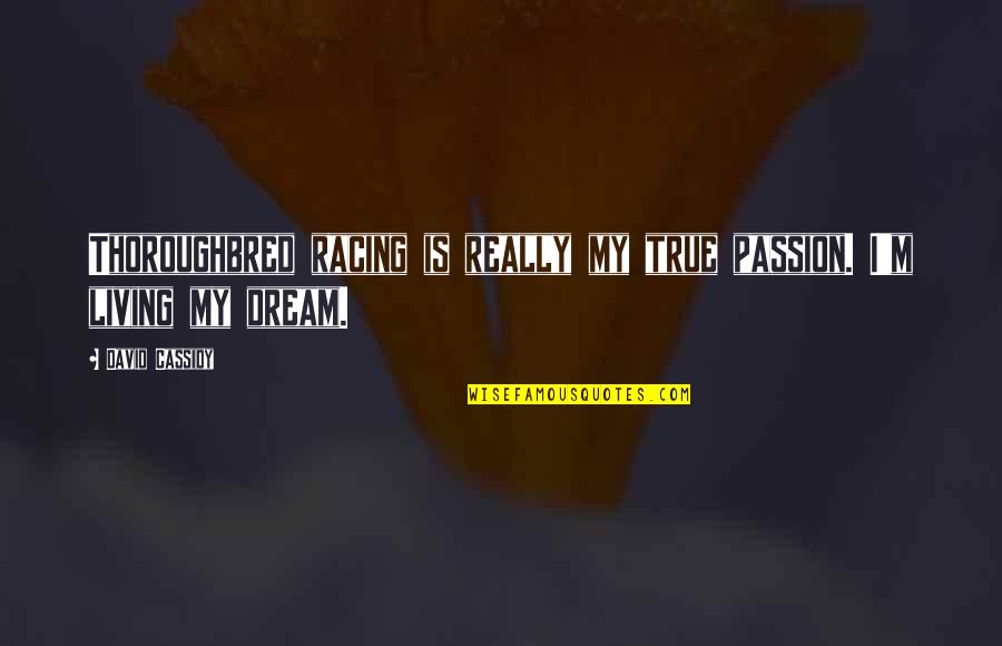 My Passion Quotes By David Cassidy: Thoroughbred racing is really my true passion. I'm